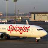 Spicejet